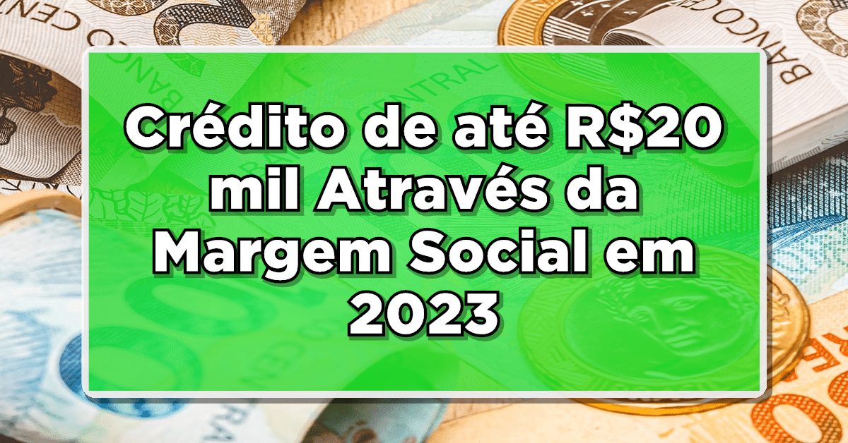 Margem social