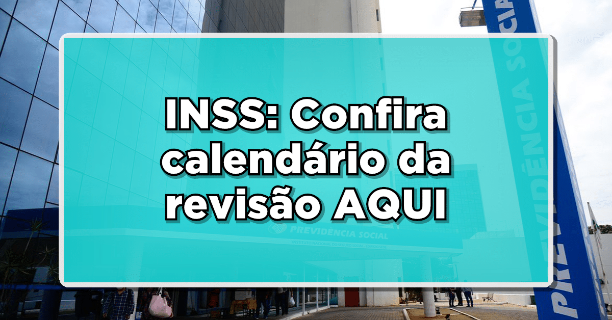 revisão do artigo 29