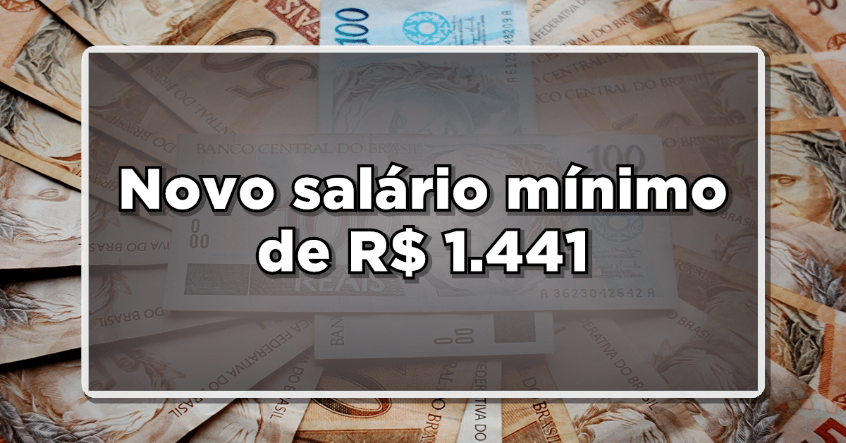novo salário mínimo