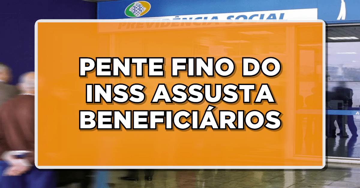 Pente-fino INSS
