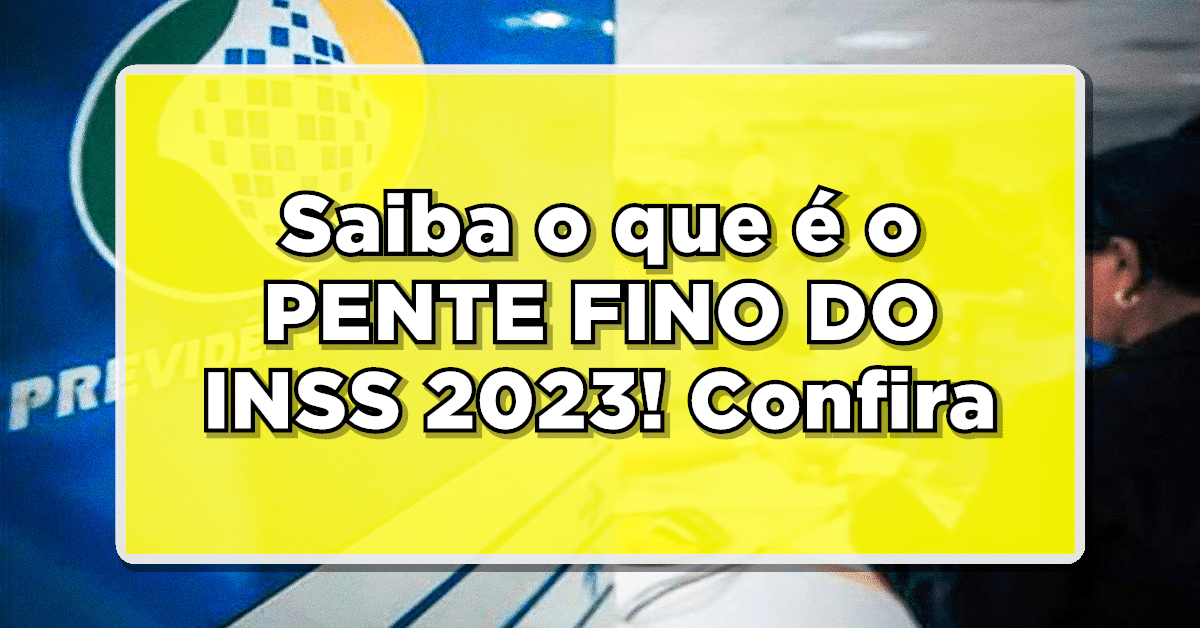 pente fino no inss