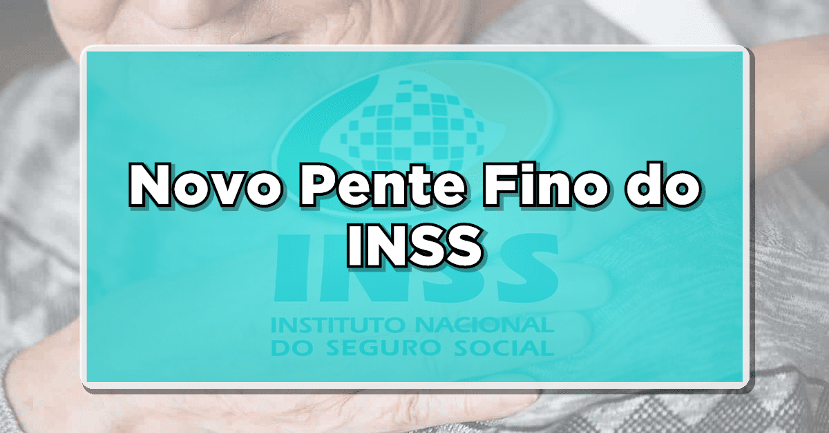 pente fino do INSS