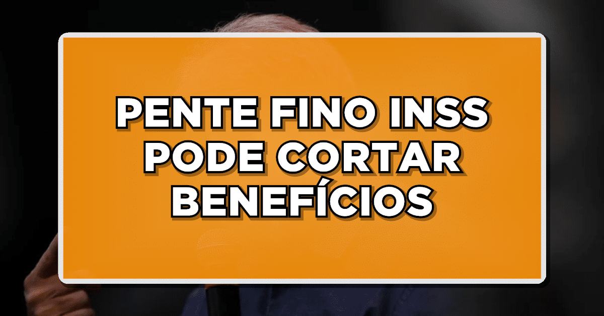 Pente fino INSS