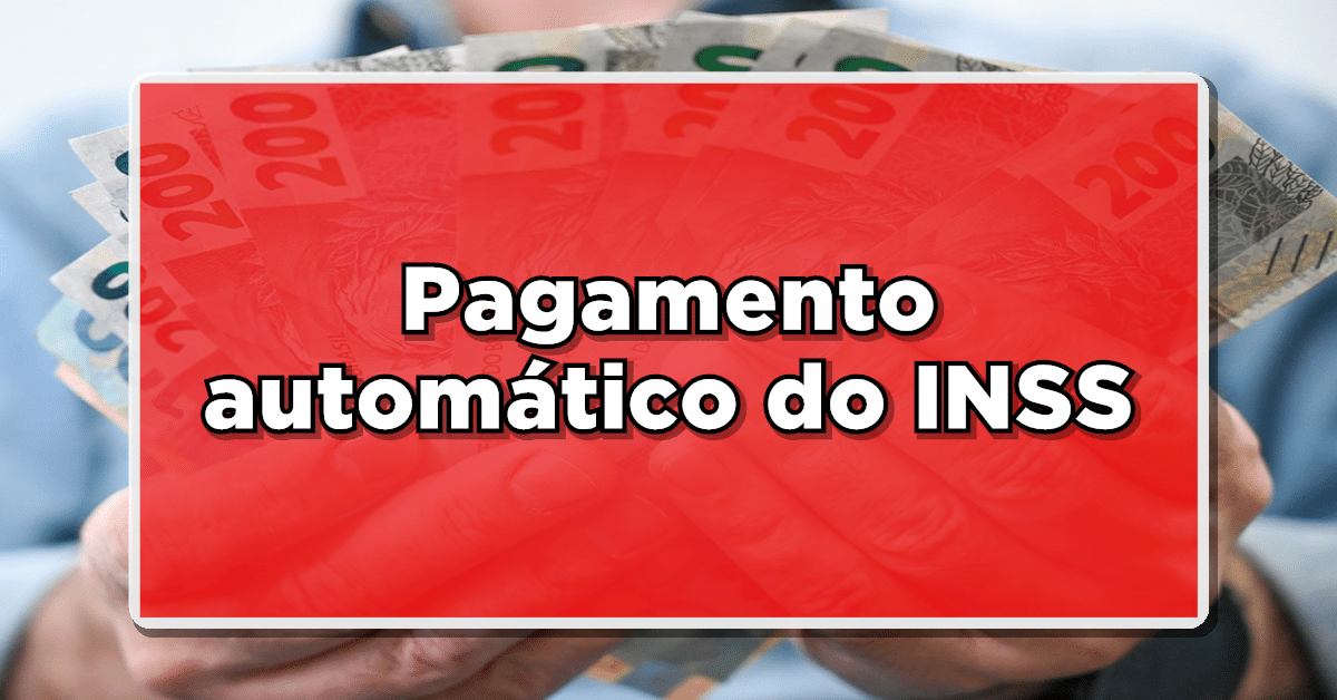 revisão do artigo 29