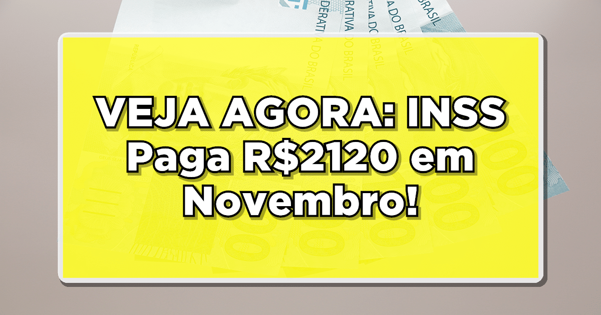 Quem recebe o 13º salário do INSS em Novembro?