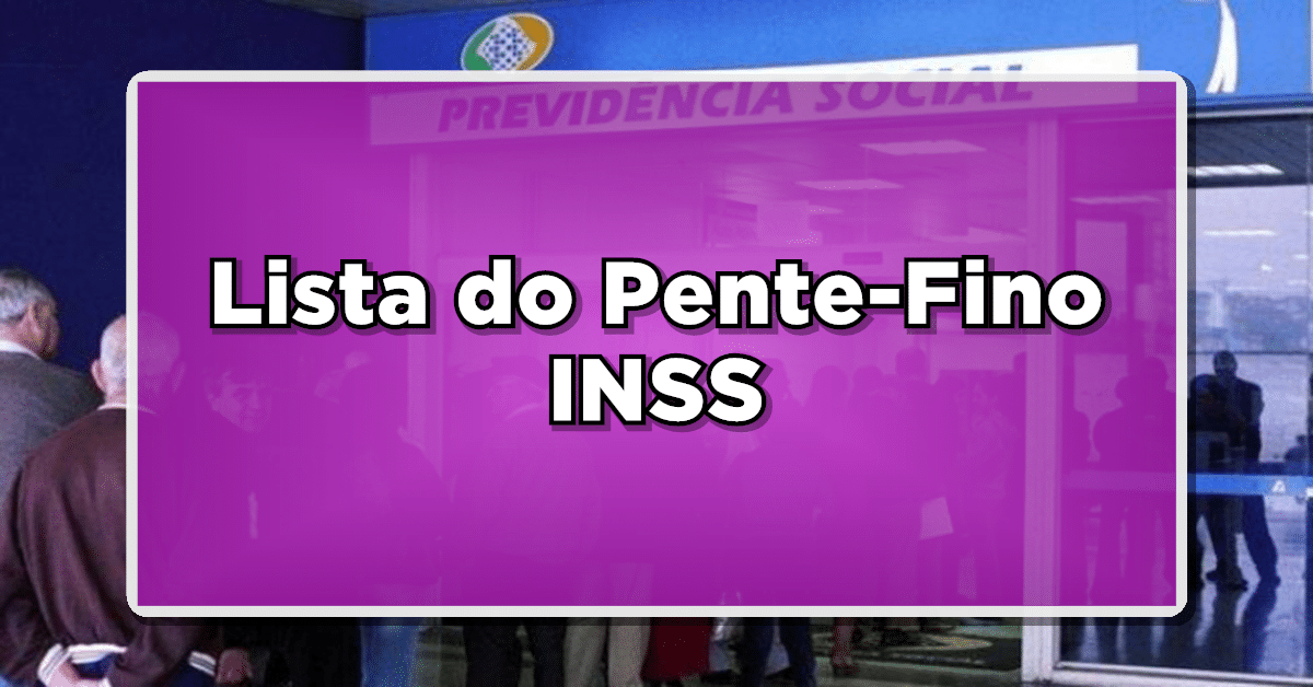Pente-fino INSS