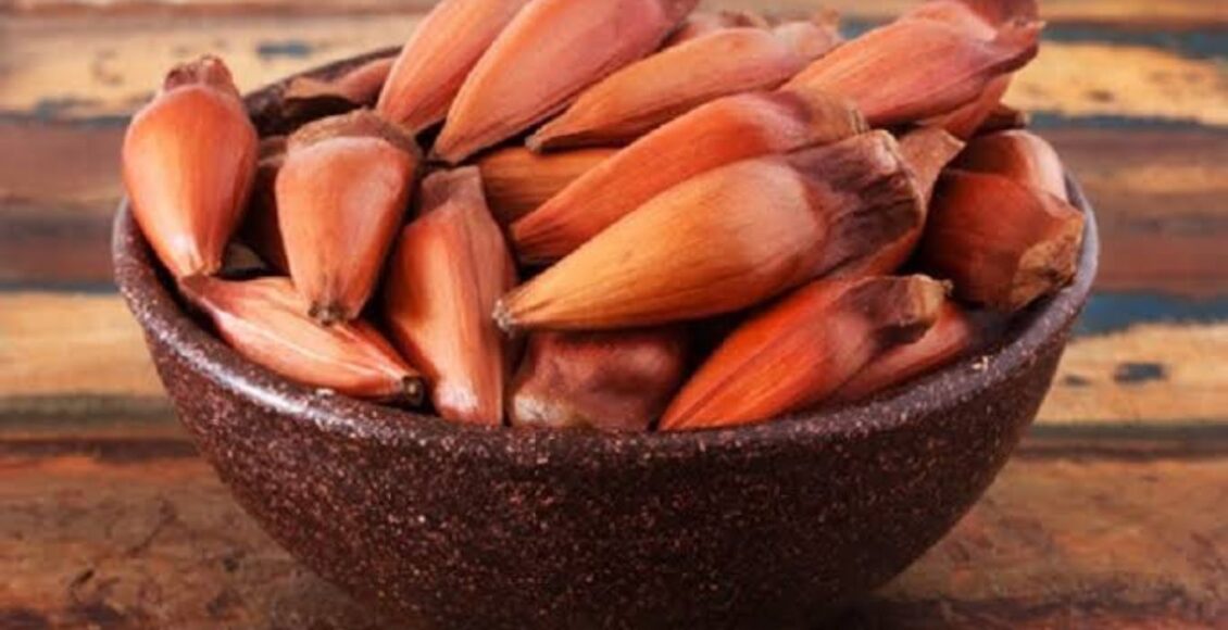 beneficios do pinhao para a saude