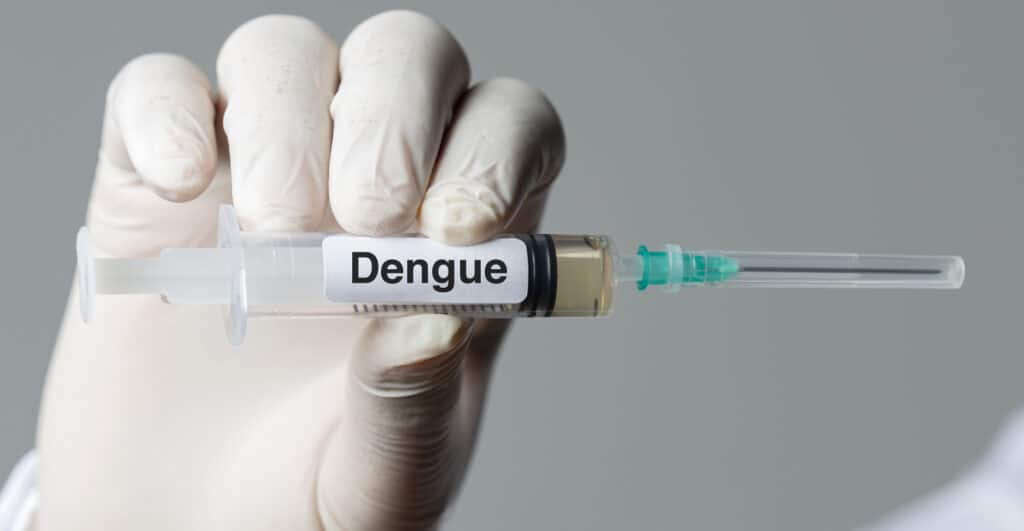 EXCLUSIVO: Fabricante dá PRIORIDADE da vacina contra dengue ao SUS! Confira AGORA! (Fonte: Reprodução Google)