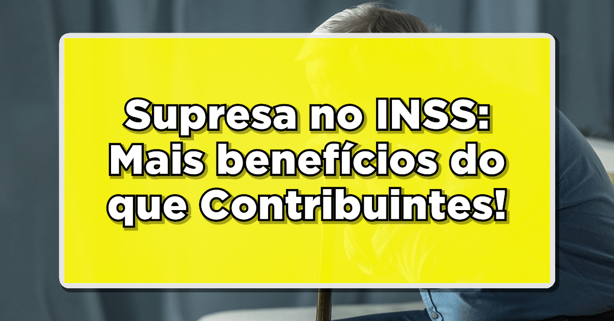 número de contribuintes INSS