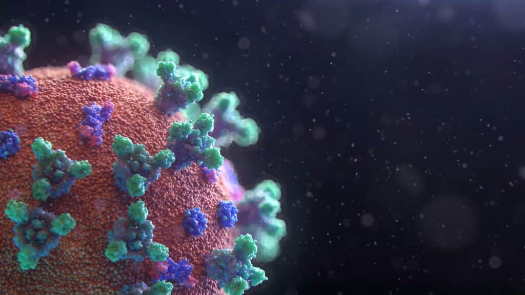 Vírus em dimensões moleculares