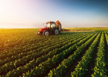 agricultura