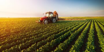agricultura