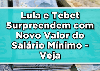 novo salário mínimo