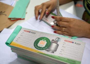 Duplique seu BPC em maio de 2024 com nosso guia completo!