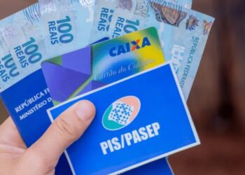 Descubra como acessar seu abono salarial PIS/PASEP 2024