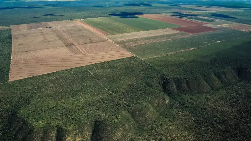 desmatamento no Cerrado