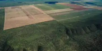 desmatamento no Cerrado