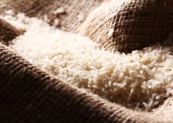 arroz