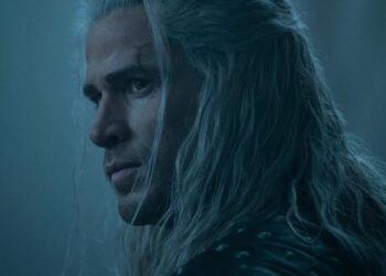 the witcher
