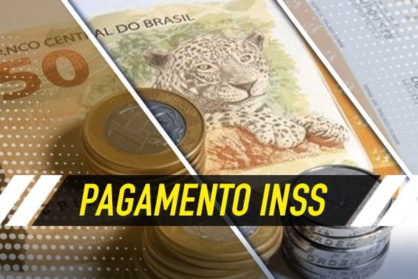 como comprovar valores pagos ao inss
