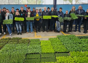 agricultura rs
