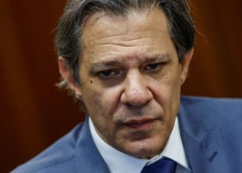 fernando haddad