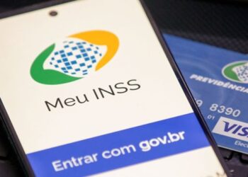Aplicativo Meu INSS (Fonte: Reprodução/Governo Federal)