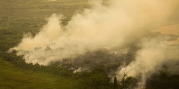Imagem das queimadas no Pantanal (Fonte: Reprodução/Agência Brasil)