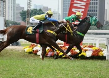 Grande Prêmio São Paulo de turfe de 2019 (Fonte: Reprodução/Jockey Club de São Paulo)