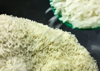 Grãos de Arroz (Fonte: Reprodução/Google)
