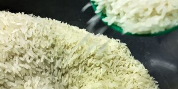 Grãos de Arroz (Fonte: Reprodução/Google)