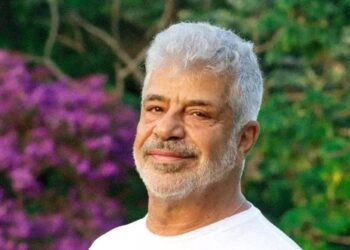 Lulu Santos (Fonte: Reprodução/Google)