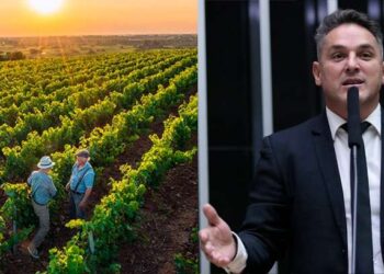 Câmara aprova Anistia de Dívidas para Produtores Rurais!