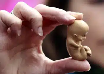 Entenda as leis do aborto no Brasil: seus direitos e limites (Fonte: G1)