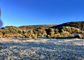 Geada em Urupema, em Santa Catarina, no início deste domingo, 30 de junho (Fonte: Reprodução/NSC TV)