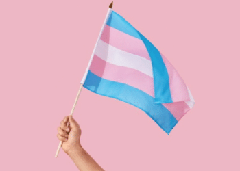 STF e os Direitos Trans: Decisão Geram Polêmica (Fonte: Stephanie Gonot)