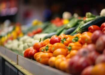 Auxílio-Inclusão e Vale Sacolão oferecem suporte financeiro