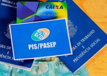 SUSPENSÃO DO PIS/PASEP