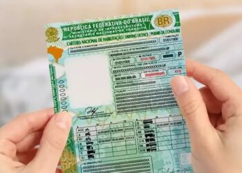 Nova lei de habilitação chega em 2024