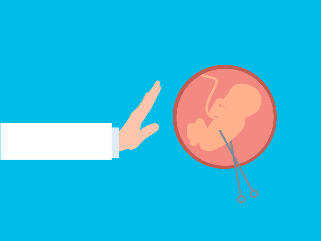 Polêmica Proposta de Lei sobre Aborto Gera Grandes Debates (Fonte: Pixabay)