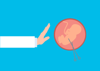 Polêmica Proposta de Lei sobre Aborto Gera Grandes Debates (Fonte: Pixabay)