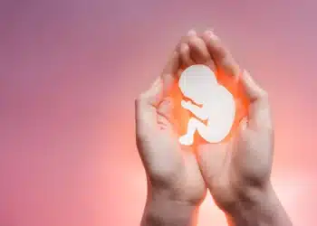 Urgência de projeto que criminaliza o aborto foi votada em apenas 23 segundos (Fonte: Biologia Net)