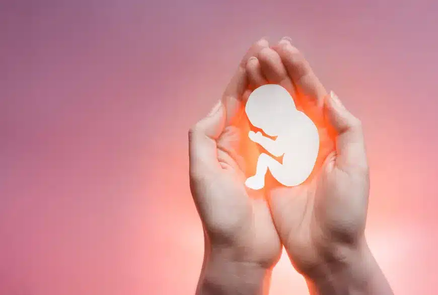 Urgência de projeto que criminaliza o aborto foi votada em apenas 23 segundos (Fonte: Biologia Net)