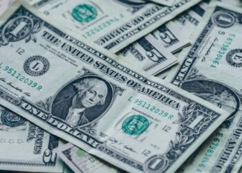 Cotação do dólar em 2024