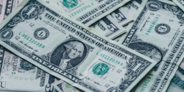 Cotação do dólar em 2024