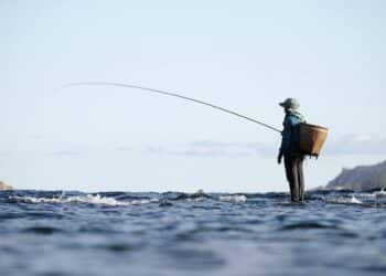 Auxílio Pesca 2024: Garanta seu Benefício! Novidades, Inscrições e Pagamentos (Fonte: Pixabay)