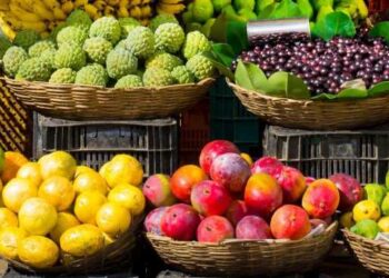 imagem de frutas e verduras para falar do Vale-Sacolão