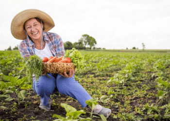 aposentadoria rural para donas de casa
