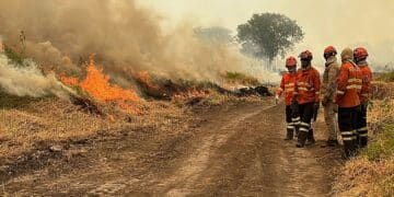 Pantanal incêndio