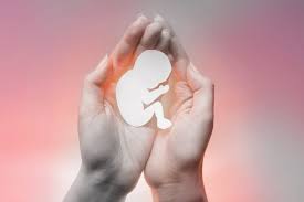 imagem de uma mão segurando um feto para falar sobre a criminalização do aborto